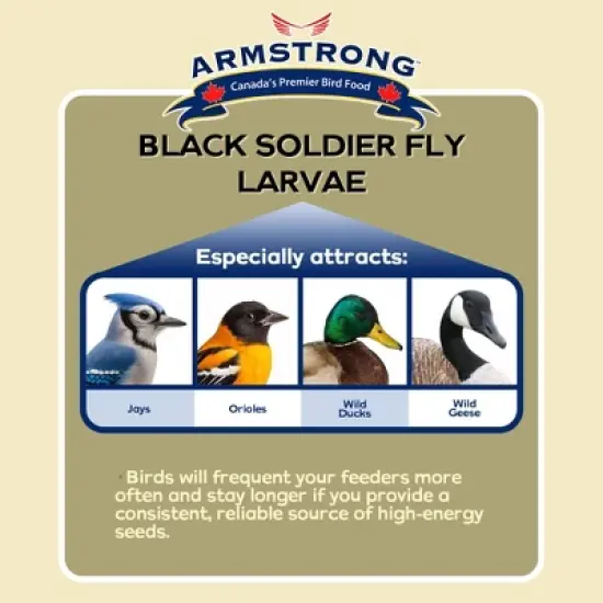 Armstrong Wild Bird Food Black Soldier Fly Larvae, 4lbs image {1}