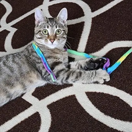 Cat Dancer Cat Toy Cat Charmer Rainbow Wand Teaser 1 Pack image {3}