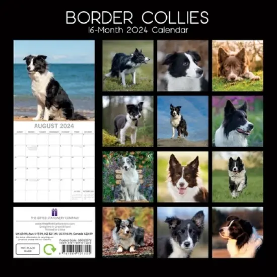 The Gifted Stationery 2024 Square Wall Calendar, Border Collies, 16-Month Paw Prints Theme with 180 Reminder Stickers (12x12 In) image {3}