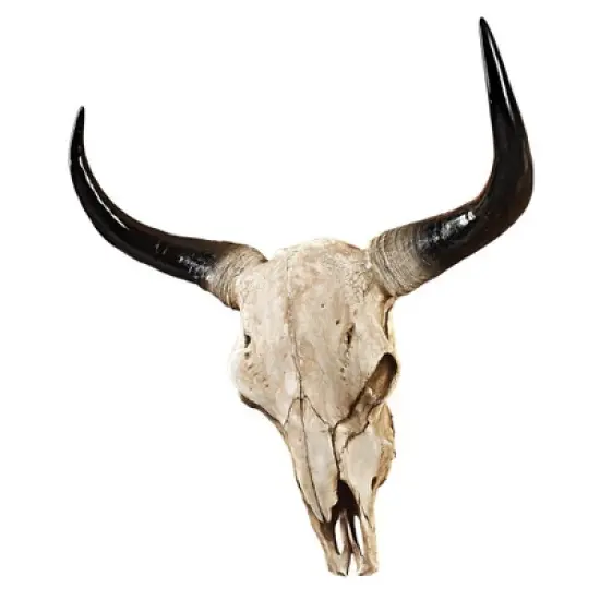 Design Toscano Long Horn Steer Wall Trophy image {1}