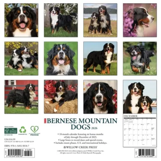 Willow Creek Press 2026 Bernese Mountain Dogs Wall Calendar image {1}
