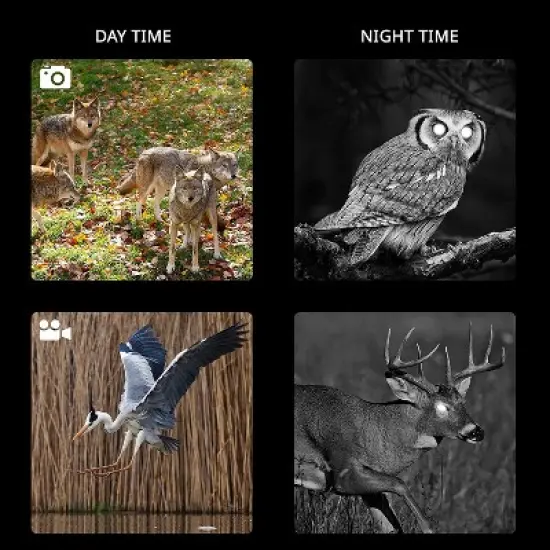 Hike Crew Tactical Gear Night Vision Binoculars W/Digital Camera image {6}