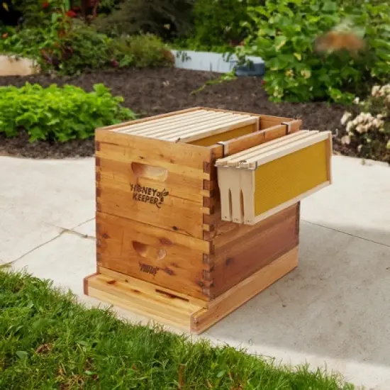 Honey Keeper Beehive Frame Holder - Stainless Steel Hive Frame Hanger Perch, Pack of 2 image {5}