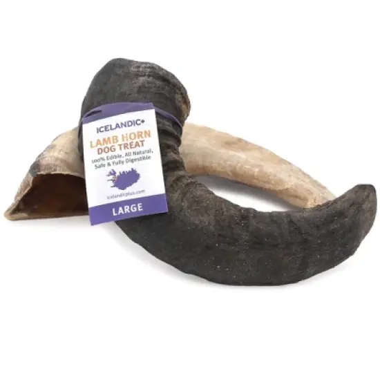 Icelandic+ Large Lamb Horn Dog Chew image {7}
