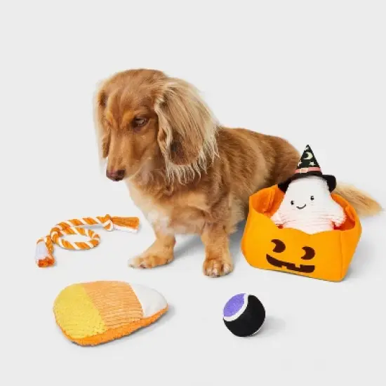 Trick or Treat Dog Rope Plush Toy Set - 4pk - Boots & Barkley&trade; image {1}