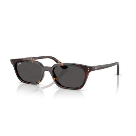 Ray-Ban RB4456 50mm Gender Neutral Pillow Sunglasses image {6}
