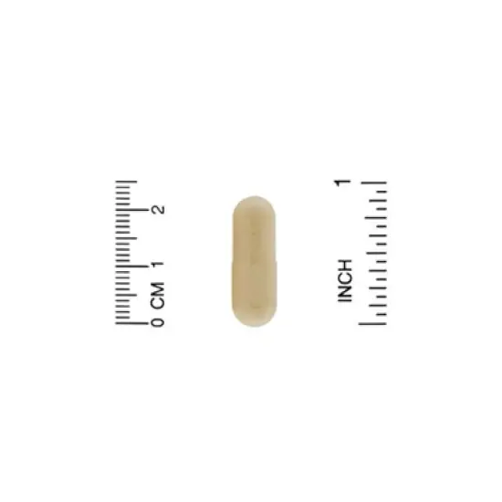 Organic India Gotu Kola, 90 Vegetarian Caps (350 mg per Capsule) image {2}