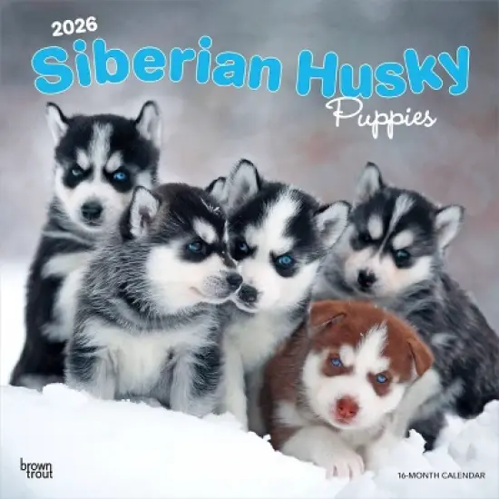 BrownTrout Siberian Husky Puppies 2026 12"x24" Hanging Square Wall Calendar Plastic-Free image {9}