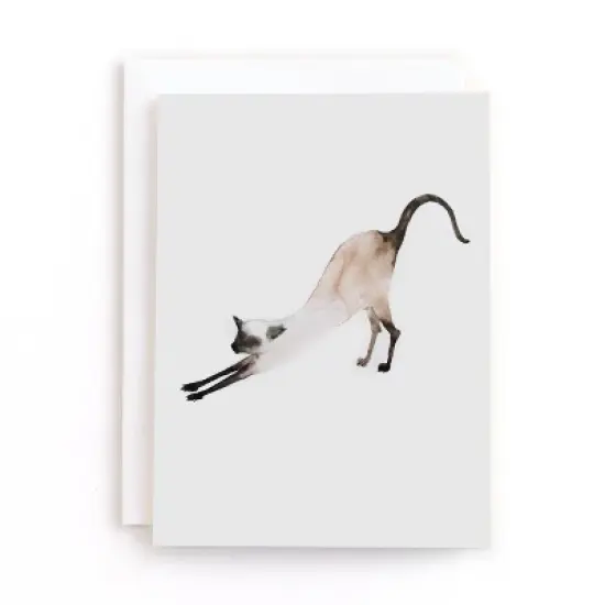 20ct Blank Cards Morning Yoga image {1}