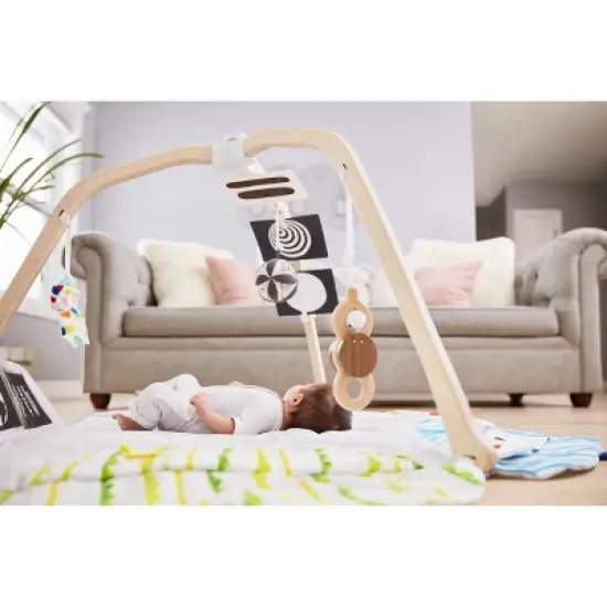 Lovevery The Play Gym image {13}