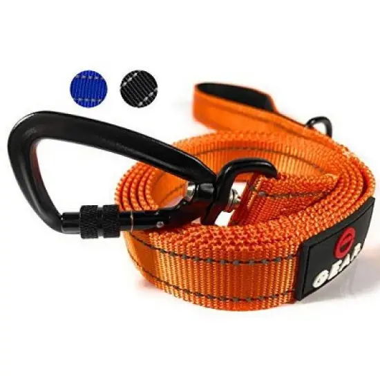 Locking Carabiner Nylon Dog Leash &ndash; 1 or 2 Handle &ndash; Enthusiast Gear image {1}