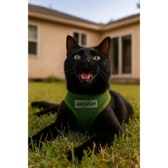 Parisian Pet 'Freedom Harness Green' for Dogs & Cats &ndash; Customizable Green Pet Harness, Soft and Durable Dog Harness for Walking image {2}