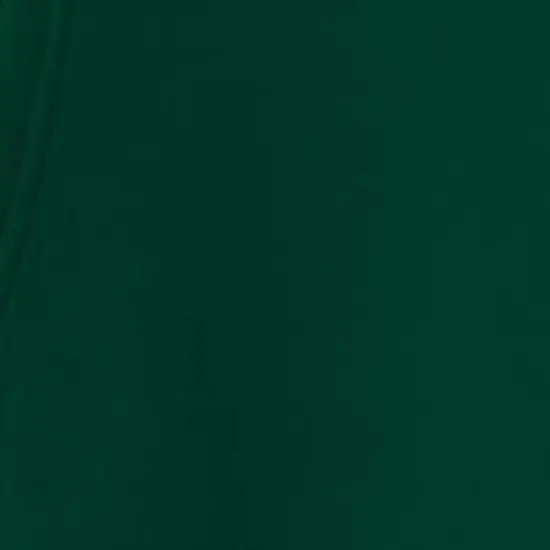 Five Nights at Freddy's Character Group Art Boy's Forest Green Sweatshirt image {2}