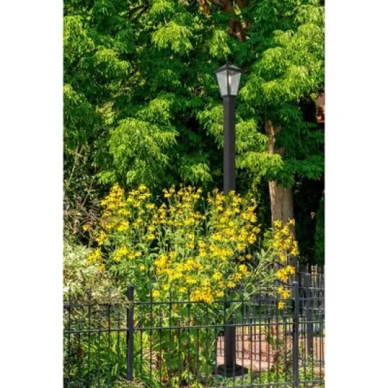 Talbot 110" Outdoor Post Light - Dimmable Steel Fixture for Walkways, 1 Bulb, Wet Rated image {1}