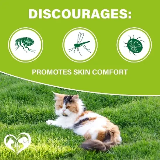 Beloved Pets Flea and Tick Support, Chewable Pils for Cats, Natural Pest Defense Oral Supplement Salmon Flavor 10 OZ - 1 Pack image {2}