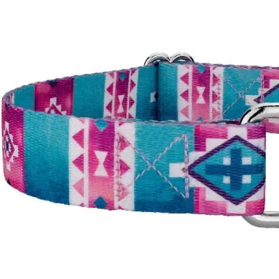 Country Brook Petz Albuquerque Martingale Dog Collar and Leash image {6}