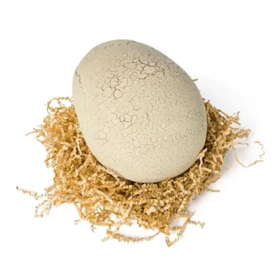 Primal Hatch Interactive Hatching Dino Action Figure - Green image {7}