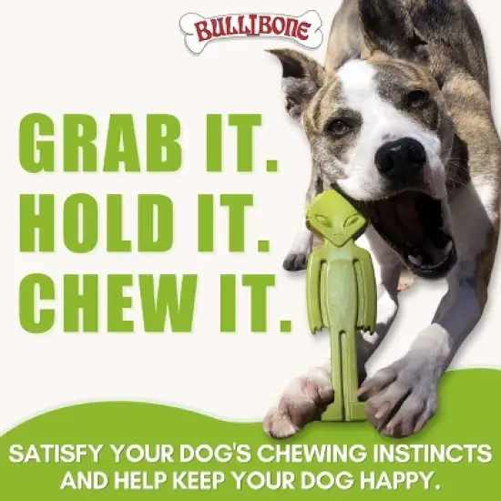 Bullibone Alien Chey Toy for Small Dogs image {5}