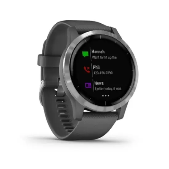 Garmin vivoactive 4 Shadow Gray with Silver Hardware image {2}