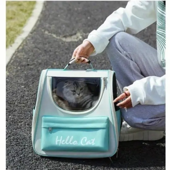 BABYYER Pet Cute Foldable Capsule Backpack for Small, Medium Cats, Puppies, Dogs, Transparent, Breathable, Heat Resistant Carry Bag image {6}