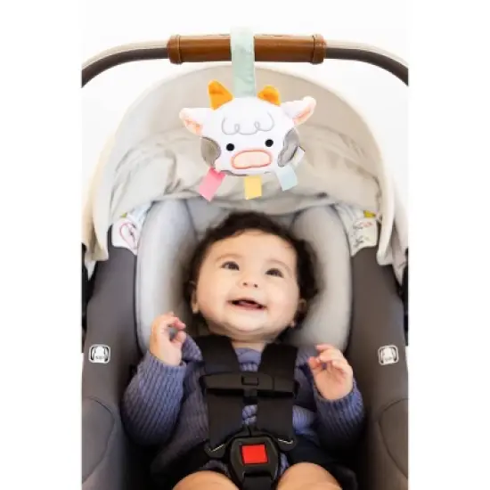 Pearhead Learning Kit for Babies - 0-6m - 8pc image {7}