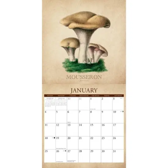 Willow Creek Press 2026 Art of the Mushroom Wall Calendar image {2}