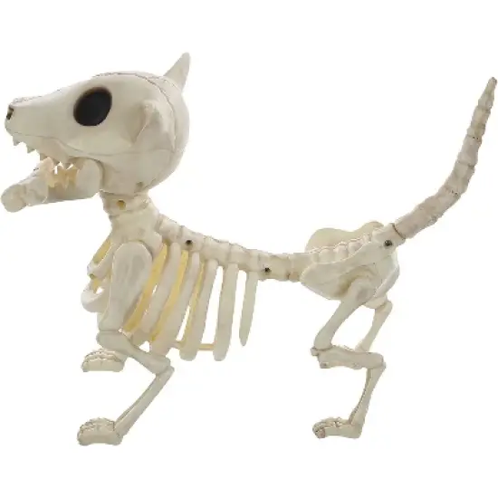 Seasons USA Digger The Skeleton Dog Halloween Decoration - 11 in - Off-White image {2}