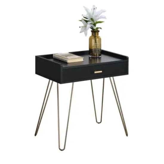 Hailey Black and Gold Wood Storage End Table image {4}