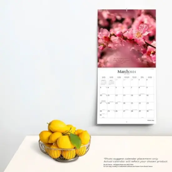 Brush Dance 2024 Wall Calendar 12"x12" Mindful Days image {3}