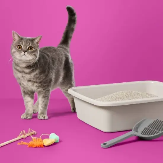 Lightweight Scented Clumping Cat Litter - 13.5lbs - up&up&trade; image {1}