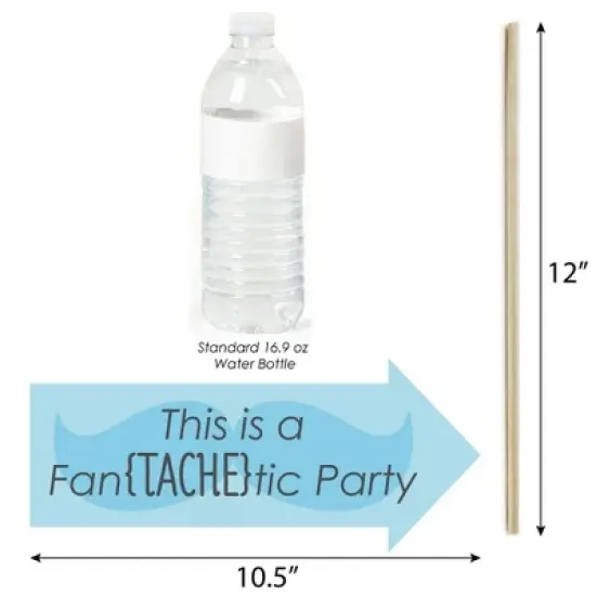 Big Dot of Happiness Funny Chevron Gender Reveal - Baby Shower Photo Booth Props Kit - 10 Piece image {2}