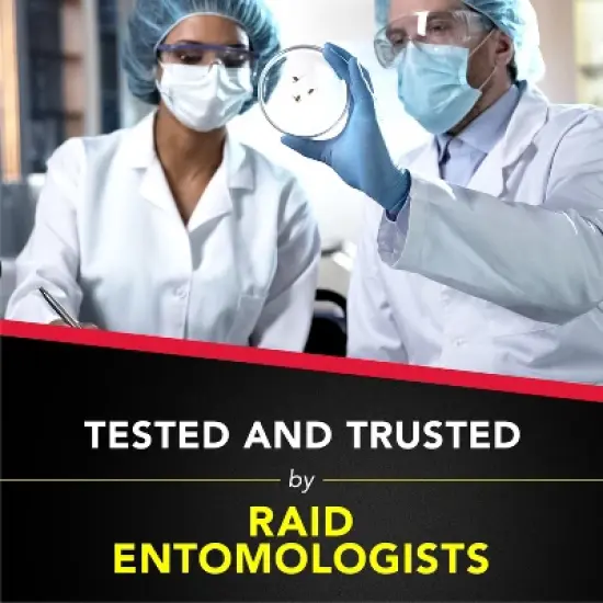 Raid Ant Baits and Indoor Ant Killer - 8ct image {7}