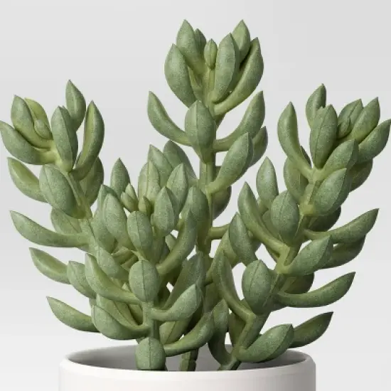 Artificial Succulent Plant - Threshold&trade;: Indoor Greenery, Faux Succulent in Melamine Pot image {2}