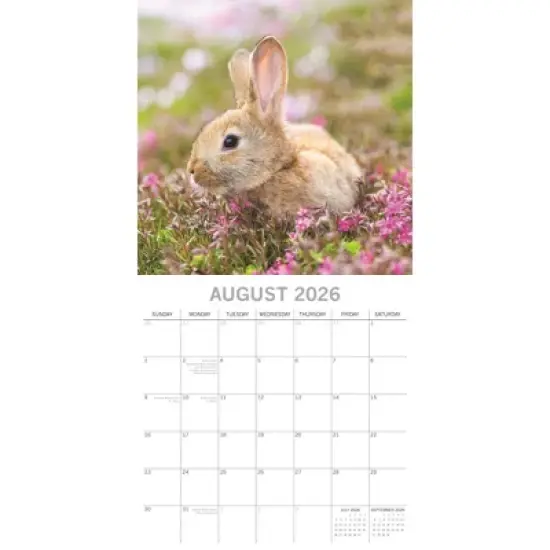 2026 Square Wall Calendar, Cute Bunnies, 16-Month Animals Theme with 180 Reminder Stickers (12x12 In) image {2}