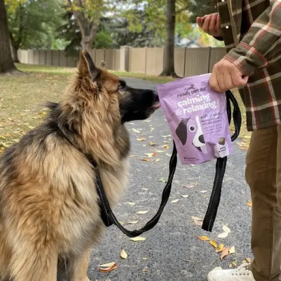 Ready Pet Go Dog Calming Treats for Anxiety & Separation, Herbal Hemp Calming Chews for Dogs Anxiety & Stress Support, Bacon Cheese Flavor, 60 or 90ct image {3}