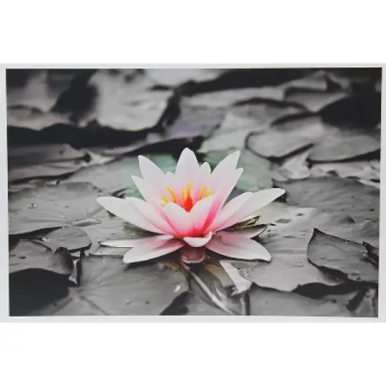 PPD Satin Photo Paper 12x12" 50 sheets 255 gsm for Inkjet Printers image {5}