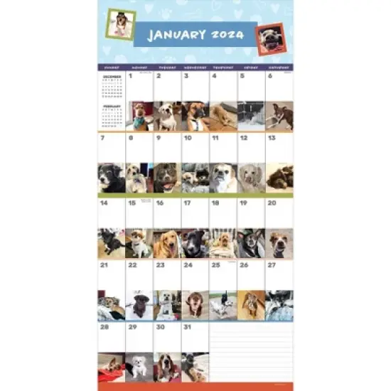 TF Publishing 2024 Wall Calendar 12"x12" Dog-A-Day image {1}