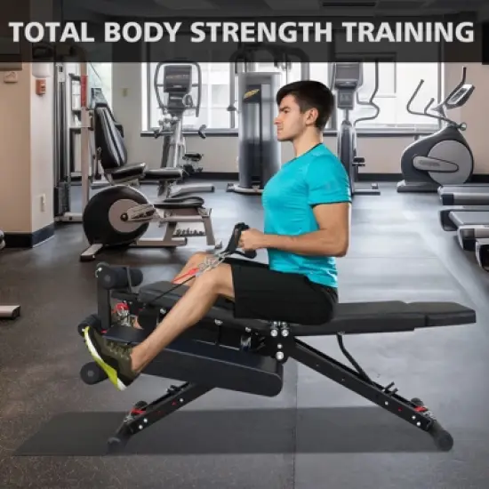Dexmalle Fitness Chair Multifunction image {1}