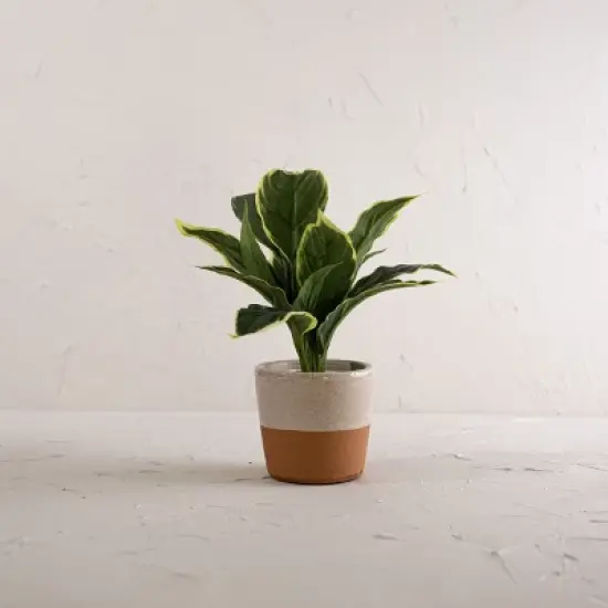 Gray Top Dipped Terracotta Planter - Foreside Home & Garden image {1}