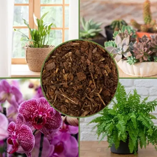 Soil Sunrise 100% Natural Pine Bark Mulch, for Container Gardening, Soil Supplement, Houseplants, Terrariums image {2}