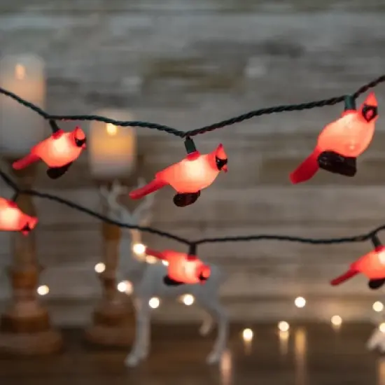 Northlight Cardinal Indoor Outdoor Patio Light Set - 6' Green Wire - 10ct image {1}