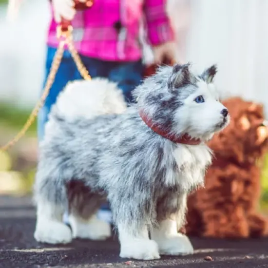The Queen's Treasures 18 In  Doll  Husky Puppy Dog with Leash and Collar image {2}