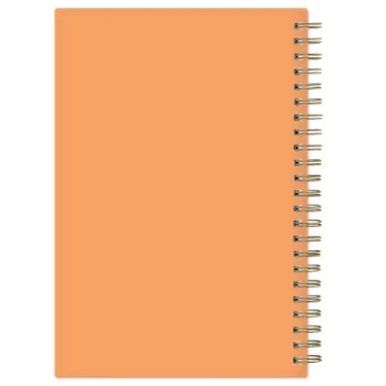 Blue Sky 5"x8" 2025-2026 Weekly/Monthly Zip Pouch Wirebound Planner Mayana Ombre image {10}