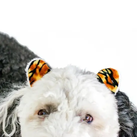 Midlee Tiger Dog Costume Headband & Tail- Large image {4}