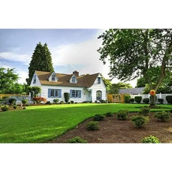 De-Bird Balloon Bird Repellent ,3-Pk Fast and Effective Solution to Pest Problems, Scare Eyes Balloon to Scare Birds Away image {5}