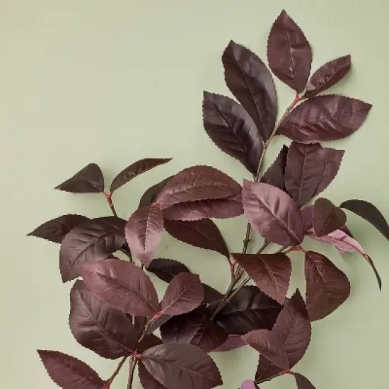 Black Plum Leaf Artificial Fall Stem - Hearth & Hand&trade; with Magnolia image {2}