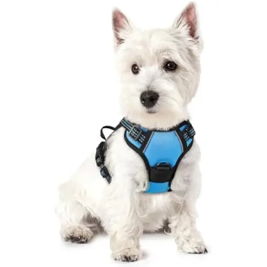 rabbitgoo Dog Harness image {6}