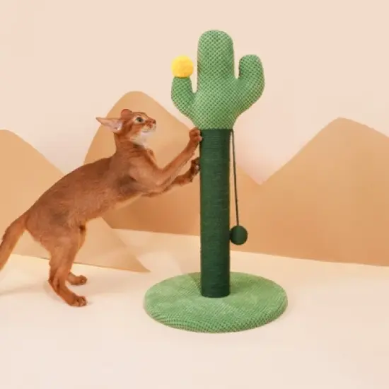 ZEZE Desert Cactus Woven Rope Cat Scratcher-Green image {14}
