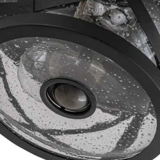 C Cattleya 2-Light Motion Sensor Dusk to Dawn Ceiling Light Fixture Outdoor Flush Mount image {3}