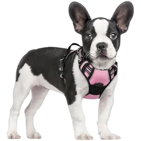 rabbitgoo Dog Harness No Pull image {3}